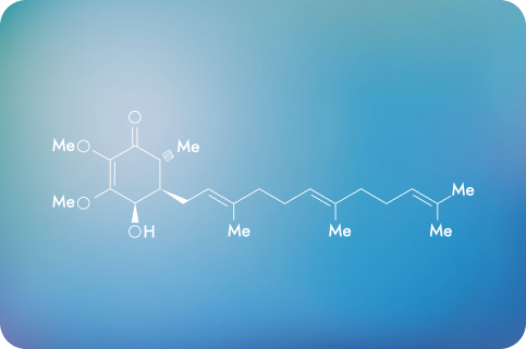 データグラフが投影されたスクリーン前で解説する男性のシルエット