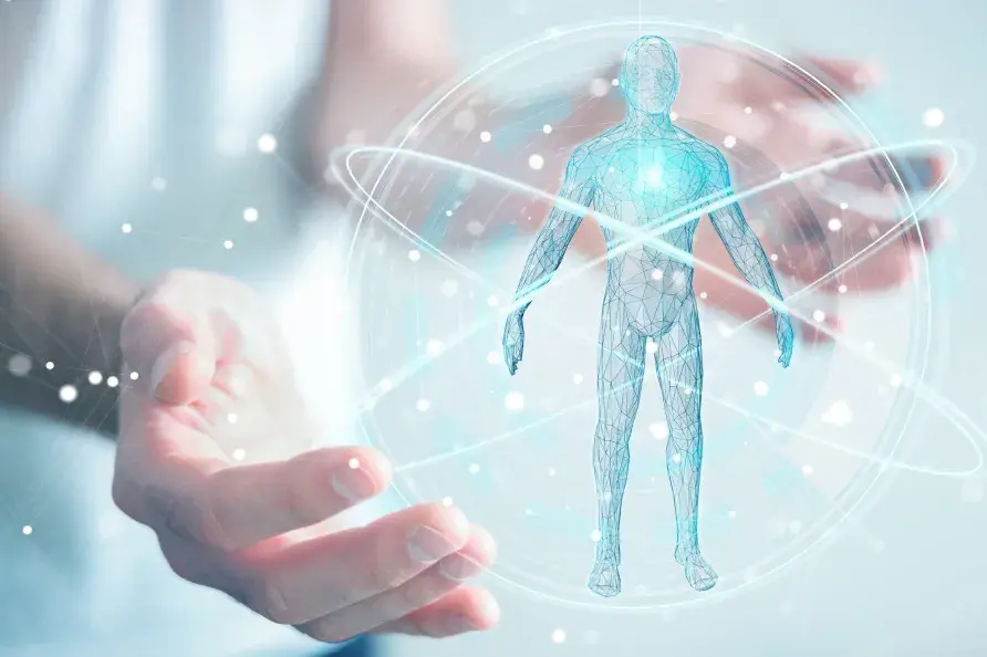 ホログラムの人体モデルを用いた全身の健康維持と免疫サポート