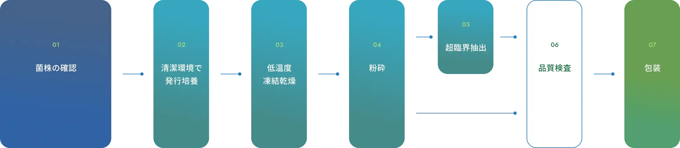 製品の製造工程図：01.菌株の確認、02.清潔環境で発行培養、03.低温度凍結乾燥、04.粉砕、05.超臨界抽出、06.品質検査、07.包装の全7ステップ。